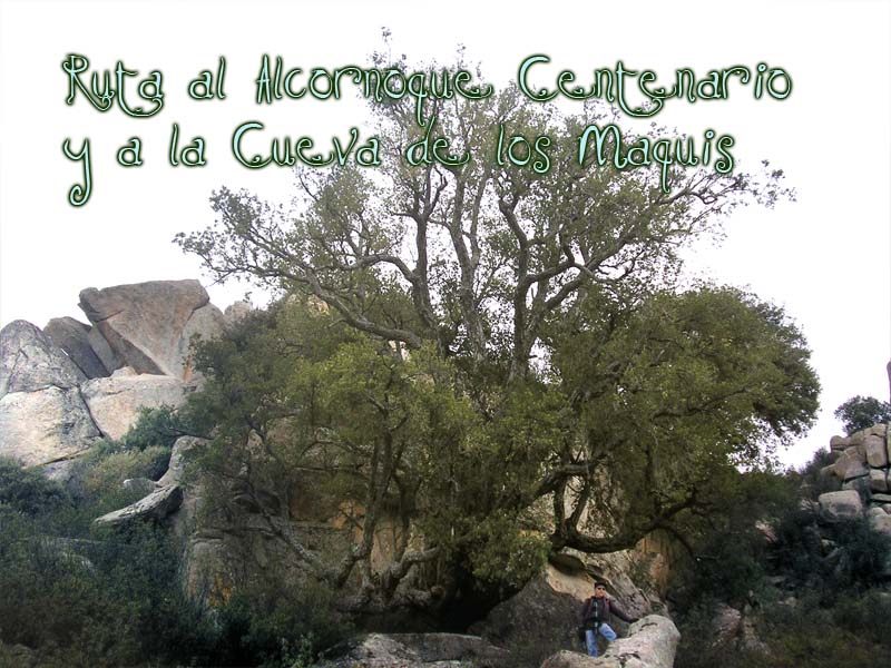 Ruta al Alcornoque centenario y a la cueva de los  Maquis